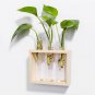 Table & Hanging Glass Water Tube Vase Plant Pot Wood Stand Flower Terrarium Hydroponic Soilless Cult
