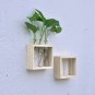 Table & Hanging Glass Water Tube Vase Plant Pot Wood Stand Flower Terrarium Hydroponic Soilless Cult