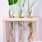 Table & Hanging Glass Water Tube Vase Plant Pot Wood Stand Flower Terrarium Hydroponic Soilless Cult