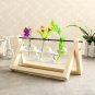 Vintage Style Water Glass Tabletop Plant Bonsai Flower Vase Wooden Frame Tray Glass Hydroponic Syste