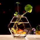 17cm Clear Glass Table Vase Hexagonal Plant Flower Pot Water Hydroponics Desktop Planter Decor