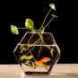 17cm Clear Glass Table Vase Hexagonal Plant Flower Pot Water Hydroponics Desktop Planter Decor