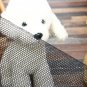 Pet Dog Gate Safety Guard Folding Baby Toddler Stair Retractable Door