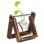 Mini Hanging Glass Tabletop Hydroponic Flower Pot Vase With Wooden Tray