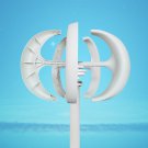 800W 12V/24V 5 Blades Permanent Magnet Wind Turbine Generator with Charge Controller