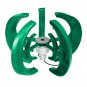 1000W 12V/24V 5 Blades Wind Turbines Wind Power Generator With Controller