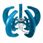 1000W 12V/24V 5 Blades Lantern Power Wind Turbines Generator With Charge Controller