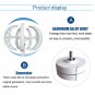 650W 12V/24V Lantern Magnet 5 Blades Wind Turbine Generator with Charge Controller