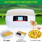 32 Position Electronic Digital Incubator Automatic Hatcher for Poultry Eggs Chicken Egg