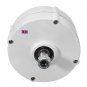 12V/24Permanent Magnet Generator AC Alternator Wind Generator Alternator for Wind Turbine Generator
