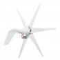800W 12V/24V Wind Turbine 6 White Blades Generator High Power For Battery Charge