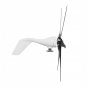 800W DC 12V/24V 6 Black Blades Power Wind Turbine Generator Kit