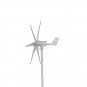 600W Wind Turbine Generator 12V/24V 6 Blades Turbine Wind Generator