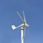 600W Wind Turbine Generator 12V/24V 6 Blades Turbine Wind Generator