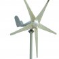 12V/24V 450W 5 Blade Wind Turbine Double-Bearing Wind Generator with Controller