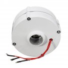 100W 12V 24V Three-phase Current PMSG Generator White For Wind Turbine