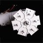 High Efficiency 300W Wind Turbine Generator AC/DC 12V/24V 6 Blades