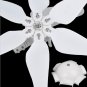 High Efficiency 300W Wind Turbine Generator AC/DC 12V/24V 6 Blades