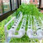 54 Holes Horizontal Hydroponic Piping Frame Rack Site Grow Kit Flow DWC Deep Water Culture Planting