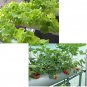 54 Holes Horizontal Hydroponic Piping Frame Rack Site Grow Kit Flow DWC Deep Water Culture Planting