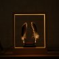 Light Time Motion Art Photo Frame LED Optical Sculpture Desktop Magic Modern Decorations