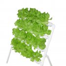 36 Holes 4 Layers Horizontal Hydroponic Grow Kit Garden Plant Vegetable Planting DWC Deep Water Cult
