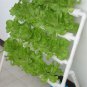 36 Holes 4 Layers Horizontal Hydroponic Grow Kit Garden Plant Vegetable Planting DWC Deep Water Cult