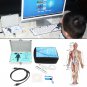 English Spanish Quantum Magnetic Resonance Health Body Analyzer Newest Generation