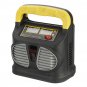 Intelligent Battery Charger 220V AC To 12/24V DC Pulse Repair Car Battery Charger Automatic
