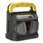 Intelligent Battery Charger 220V AC To 12/24V DC Pulse Repair Car Battery Charger Automatic