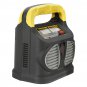 Intelligent Battery Charger 220V AC To 12/24V DC Pulse Repair Car Battery Charger Automatic