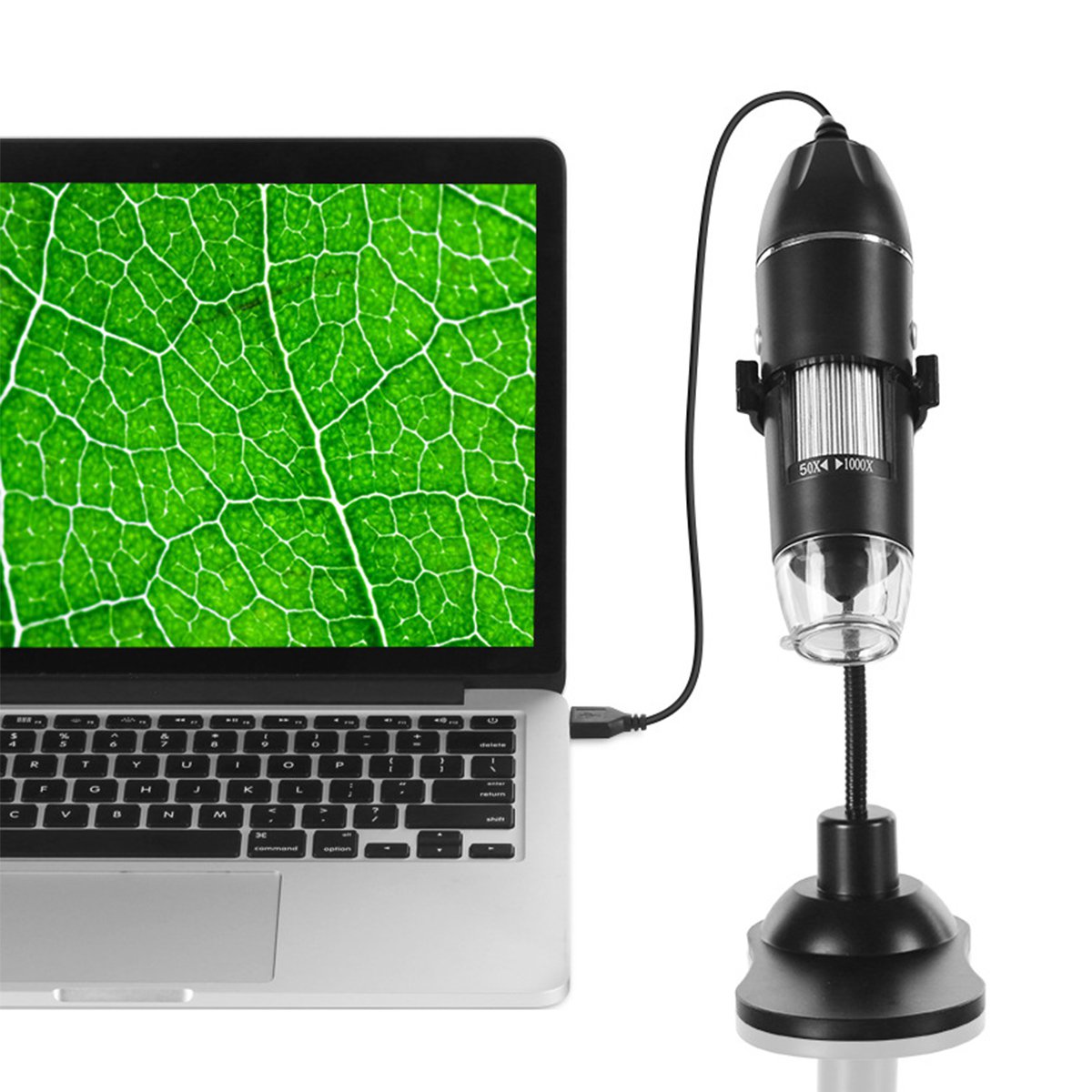1000X Portable 8 LED Light Adjustable Dimmer Practical Hand Held Microscope Computers Real-Time Vide