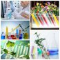 40Pcs 13x100mm Lab Chemistry Borosilicate Glass Test Tubes