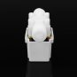 DC 12V Electric Solenoid Valve Switch Normally Closed Water Air Inlet Flow Switch