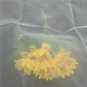 160M 64T Polyester Silk Screen Printing Mesh Fabric Sheet Frame