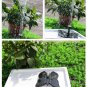 7V 1.4W 200L Floating Water Pump Fountain Decoration Butterfly Shape Solar Panel Garden Plants Water