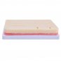 Suture Practice Module Silicone Wound Suturing Pad Human Skin Training Model Set