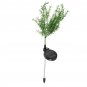 2 Pcs Solar Power Glass Stake Light Outdoor Garden Path Luminous Lamps Decor
