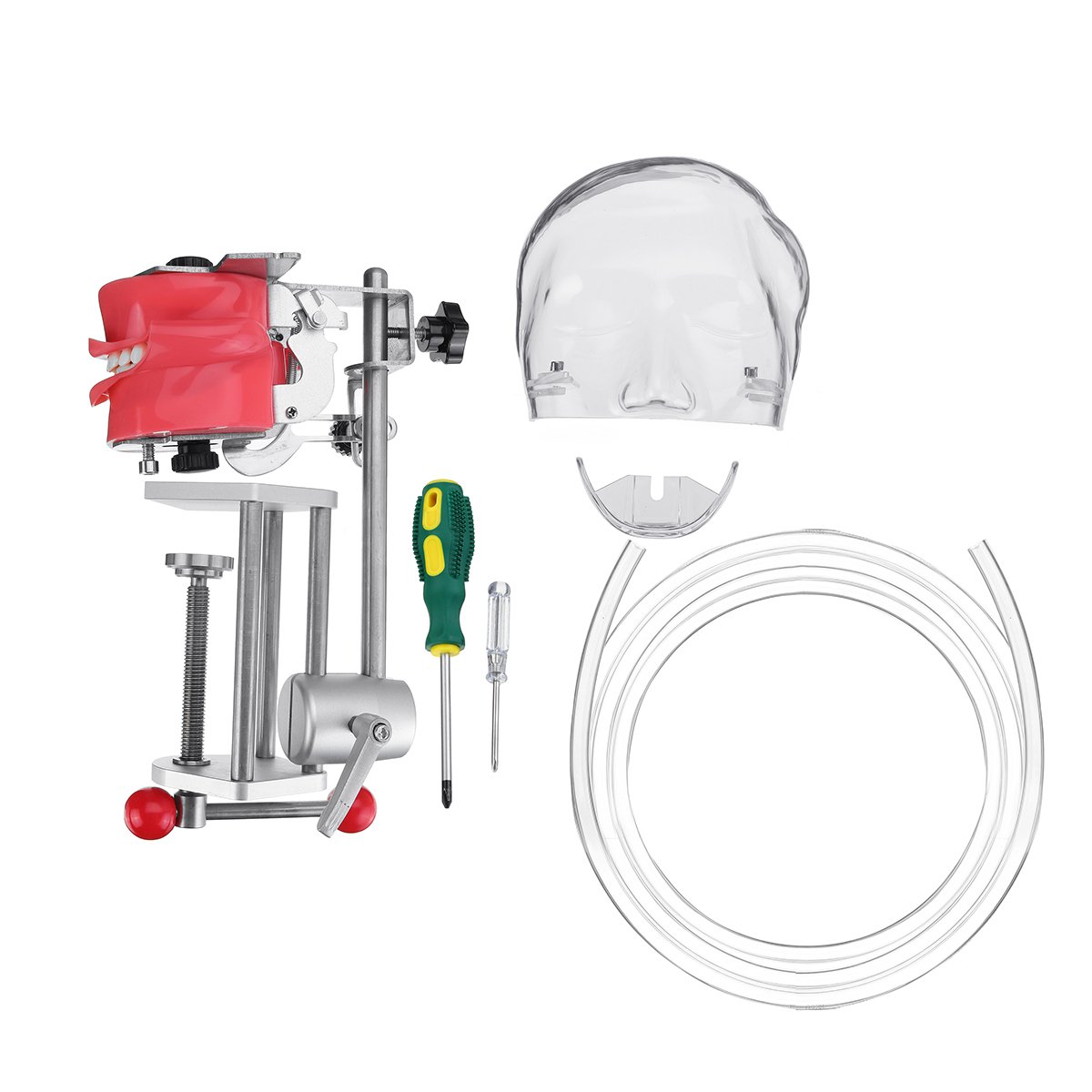 Dental Simulator Manikin Phantom Head Teeth Tooth Model Training bench Tools