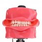 Dental Simulator Manikin Phantom Head Teeth Tooth Model Training bench Tools