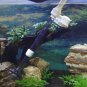 Efficient Electric Aquarium Water Change Pump Cleaning Tools Fish Tank Washer Water Changer Pump