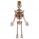 DIY Human Bone Model Intelligence Training Building Block Human Bone Model Blocks Toys