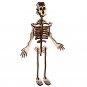 DIY Human Bone Model Intelligence Training Building Block Human Bone Model Blocks Toys