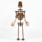 DIY Human Bone Model Intelligence Training Building Block Human Bone Model Blocks Toys
