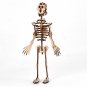 DIY Human Bone Model Intelligence Training Building Block Human Bone Model Blocks Toys