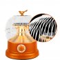 1000W 220V 360 Degree Portable Bird Cage Space Heater Stove 2 Gear Electric Fan Radiator Warmer Heat
