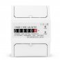 30-100A 230V Single-phase Electric Watt-hour Meter DIN-rail Type Installation Household Energy Meter