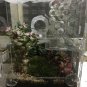 Acrylic Sheet Ant Farm House Castle Work Educational Formicarium Nest For Ant Colony Living