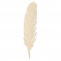10pcs Laser Engraving MDF Feather Wooden Slices Diy Craft Laser Manufacturing Room Wedding Decoratio