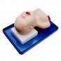 Intubation Manikin Study Teaching Model Baby Infant Airway Management Trainer Medical Model